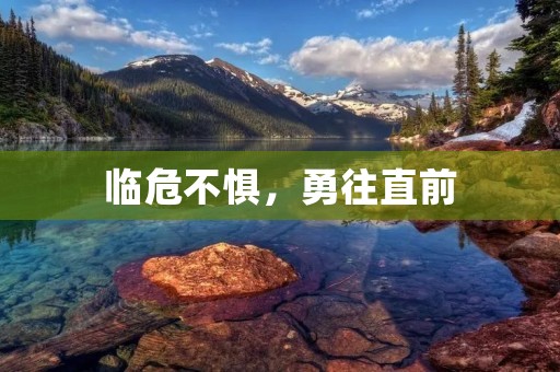 临危不惧,勇往直前