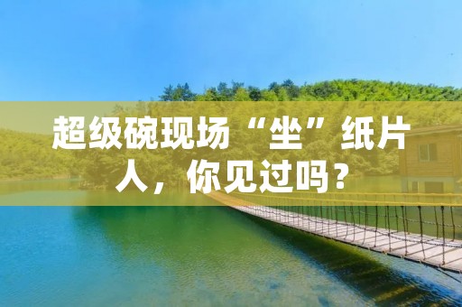 超级碗现场“坐”纸片人,你见过吗? 超级碗现场“坐”纸片人,你见过吗?