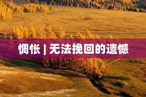 惆怅 | 无法挽回的遗憾