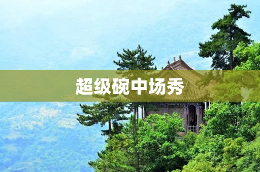 超级碗中场秀：音乐与娱乐的完美结合