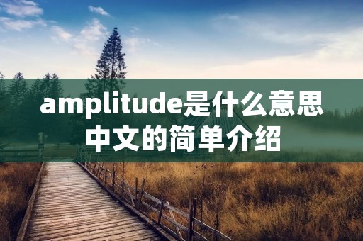 amplitude是什么意思中文的简单介绍 amplitude是什么意思中文的简单介绍