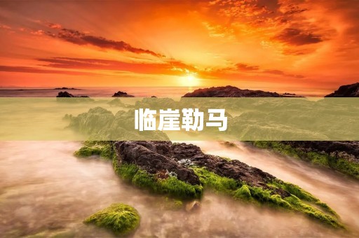 临崖勒马:一个关于停下来的故事