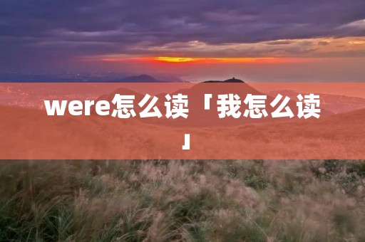 were怎么读「我怎么读」 were怎么读「我怎么读」