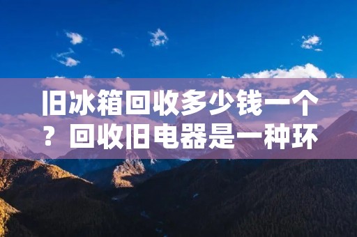 旧冰箱回收多少钱一个?回收旧电器是一种环保举措,可以有效减少废弃物对环境的污染。但是,旧电器的回收价格并不是很明确,因为很多因素会影响回收价格,例如电器的品牌、型号、年份、使用情况等等。在本文中,我们将探讨旧冰箱回收的一些基本信息,以及影响回收价格的因素。 旧冰箱回收多少钱一个?回收旧电器是一种环保举措,可以有效减少废弃物对环境的污染。但是,旧电器的回收价格并不是很明确,因为很多因素会影响回收价格,例如电器的品牌、型号、年份、使用情况等等。在本文中,我们将探讨旧冰箱回收的一些基本信息,以及影响回收价格的因素。