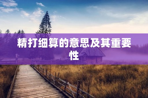 精打细算的意思及其重要性