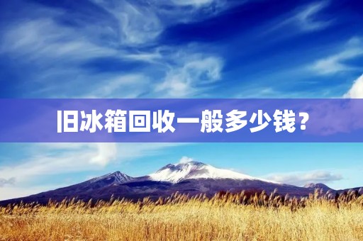 旧冰箱回收一般多少钱? 旧冰箱回收一般多少钱?