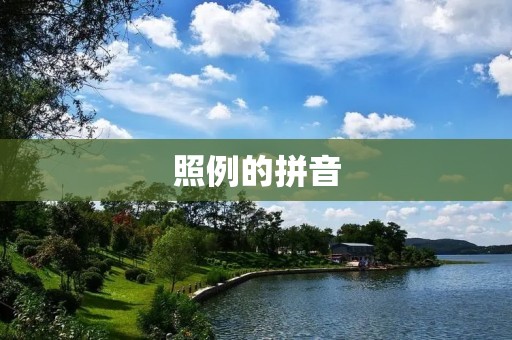 照例的拼音:拼音标准化的历程