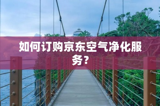 如何订购京东空气净化服务?