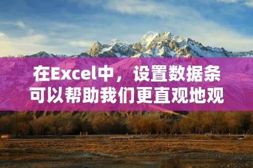 在Excel中,设置数据条可以帮助我们更直观地观察数据,提高数据分析的效率。下面,我将向大家详细介绍如何设置数据条。