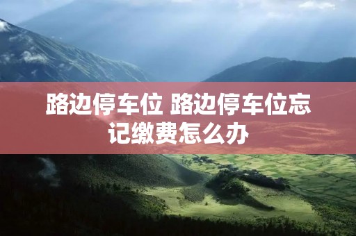 路边停车位 路边停车位忘记缴费怎么办