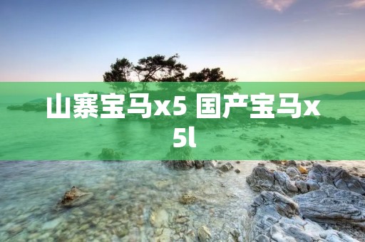 山寨宝马x5 国产宝马x5l 山寨宝马x5 国产宝马x5l