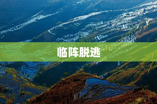 临阵脱逃:背叛与良知之间的抉择