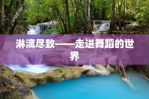 淋漓尽致——走进舞蹈的世界