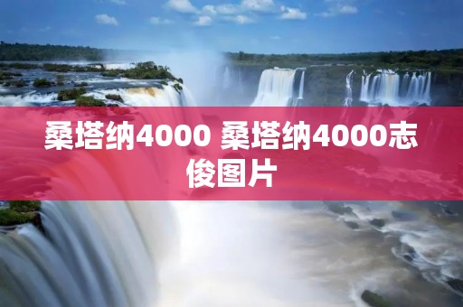 桑塔纳4000 桑塔纳4000志俊图片 桑塔纳4000 桑塔纳4000志俊图片