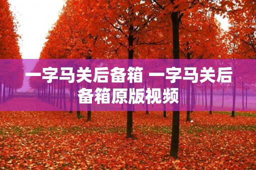 一字马关后备箱 一字马关后备箱原版视频 一字马关后备箱 一字马关后备箱原版视频