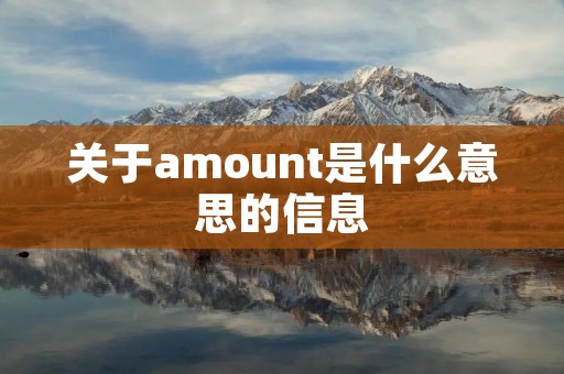 关于amount是什么意思的信息