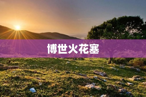 博世火花塞：高品质的发动机保护