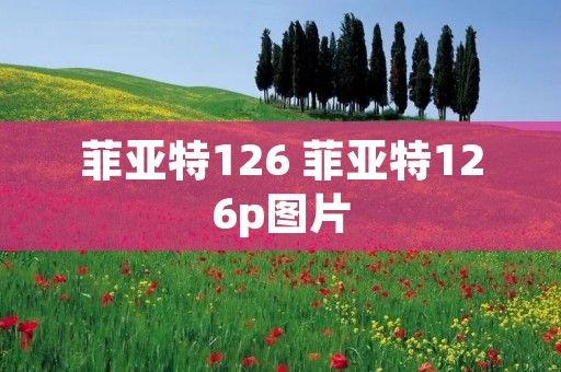 菲亚特126 菲亚特126p图片 菲亚特126 菲亚特126p图片