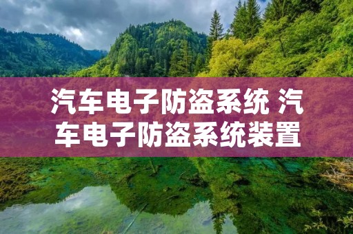汽车电子防盗系统 汽车电子防盗系统装置