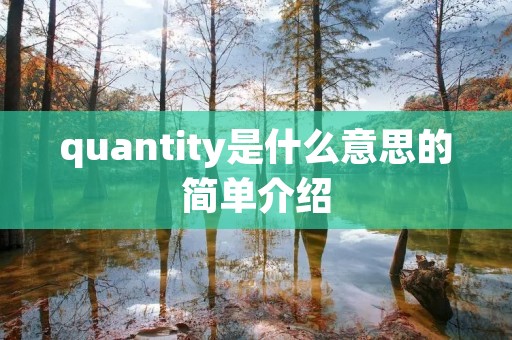 quantity是什么意思的简单介绍 quantity是什么意思的简单介绍