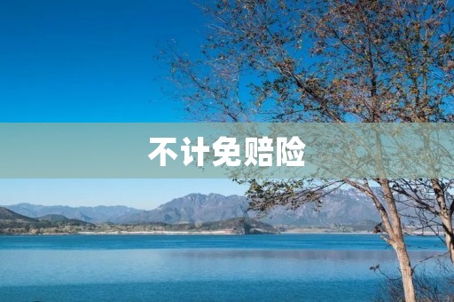 不计免赔险:保险理赔的最佳选择 不计免赔险:保险理赔的最佳选择
