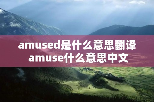 amused是什么意思翻译 amuse什么意思中文