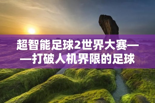 超智能足球2世界大赛——打破人机界限的足球盛宴 超智能足球2世界大赛——打破人机界限的足球盛宴