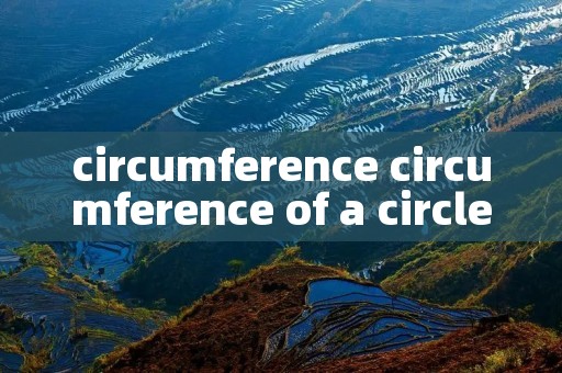 circumference circumference of a circle