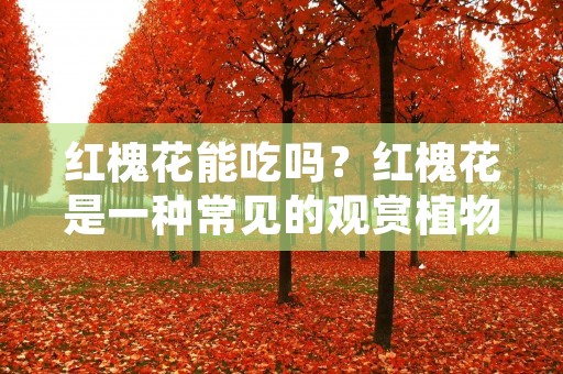 红槐花能吃吗?红槐花是一种常见的观赏植物,其花朵颜色鲜艳,枝叶茂盛,是城市中常见的美化植物。但是,随着人们对食品的需求和烹饪技术的提高,越来越多的人开始探索植物的食用价值,其中也包括红槐花。那么,红槐花能吃吗?它的营养价值和药用价值是什么?