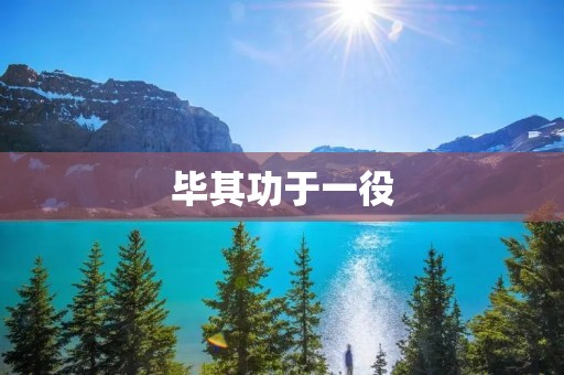 毕其功于一役:成功的关键在于细节