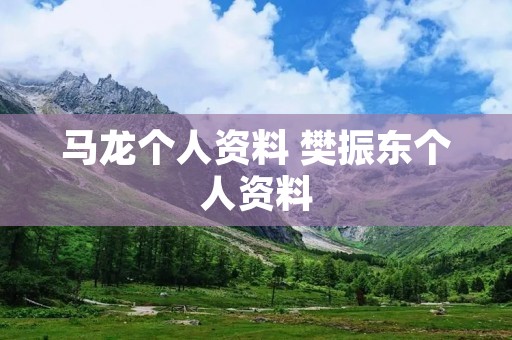 马龙个人资料 樊振东个人资料