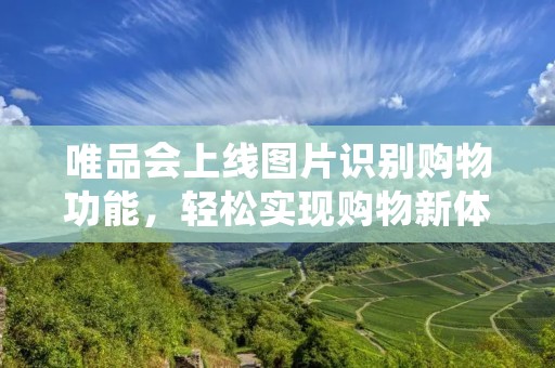 唯品会上线图片识别购物功能,轻松实现购物新体验