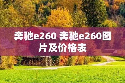 奔驰e260 奔驰e260图片及价格表 奔驰e260 奔驰e260图片及价格表