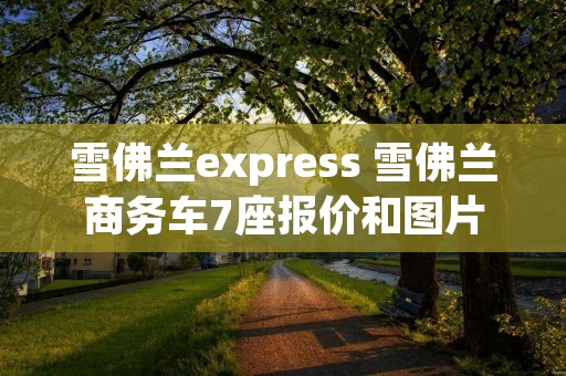 雪佛兰express 雪佛兰商务车7座报价和图片 雪佛兰express 雪佛兰商务车7座报价和图片
