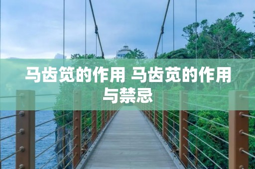 马齿笕的作用 马齿苋的作用与禁忌