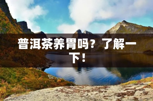 普洱茶养胃吗?了解一下!