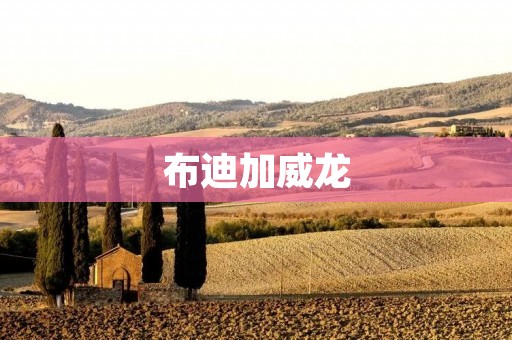 布迪加威龙：一种神秘而古老的生物