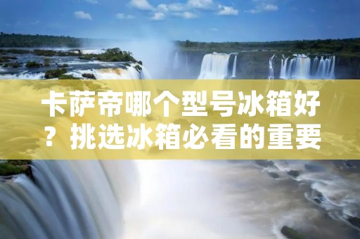卡萨帝哪个型号冰箱好？挑选冰箱必看的重要指标！