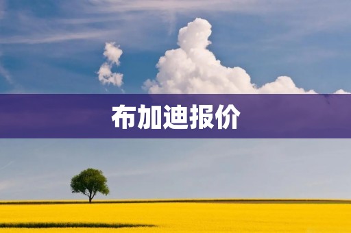 布加迪报价：豪华跑车的极致之选