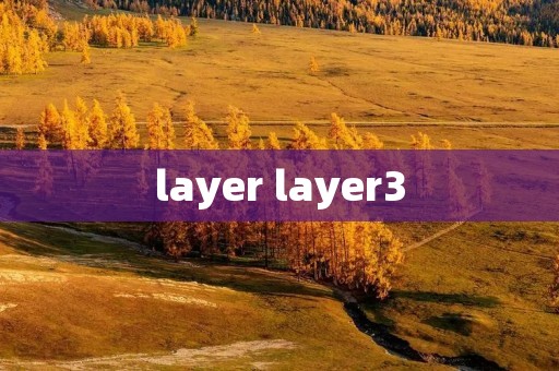 layer layer3