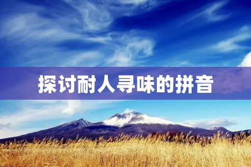 探讨耐人寻味的拼音