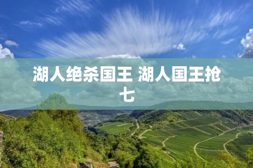湖人绝杀国王 湖人国王抢七