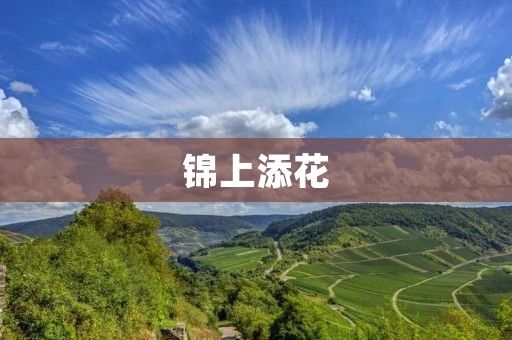 锦上添花:如何让生活更美好