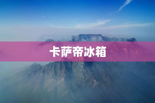 卡萨帝冰箱：品质与领先，荣登排行榜首