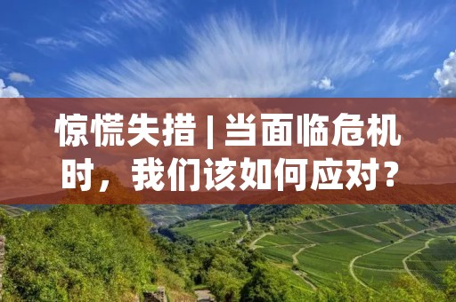 惊慌失措 | 当面临危机时,我们该如何应对?