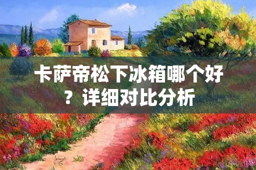 卡萨帝松下冰箱哪个好？详细对比分析