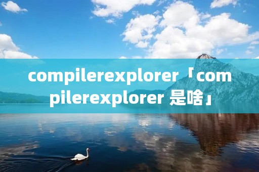 compilerexplorer「compilerexplorer 是啥」