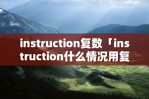 instruction复数「instruction什么情况用复数」
