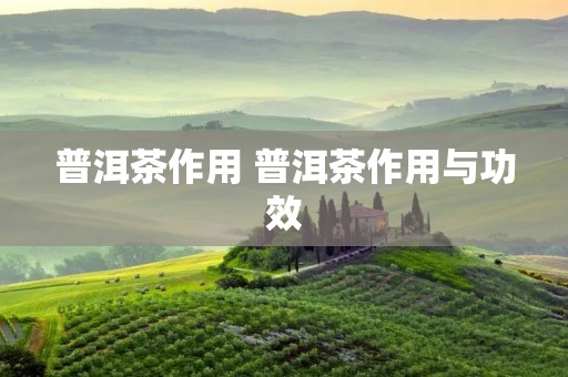 普洱茶作用 普洱茶作用与功效