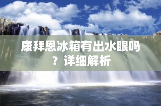 康拜恩冰箱有出水眼吗？详细解析